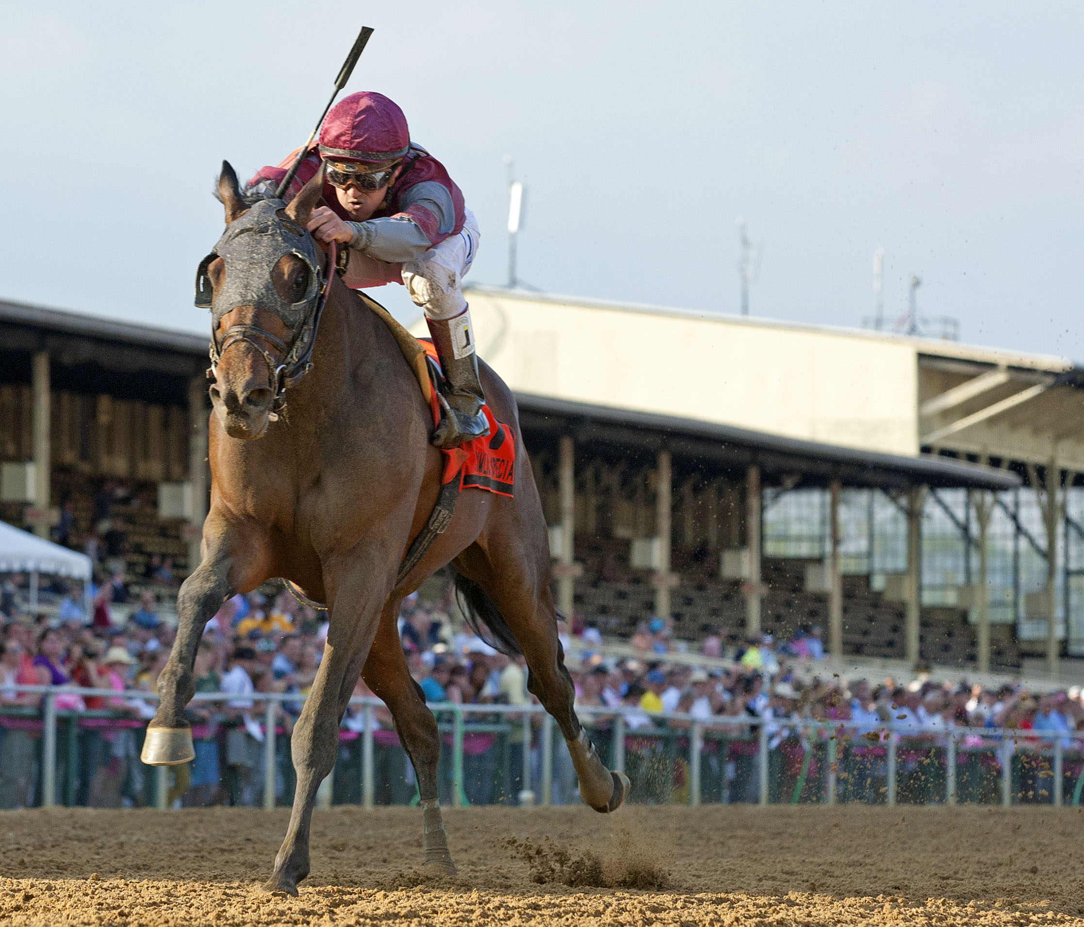 Last Gunfighter, Pimlico Special