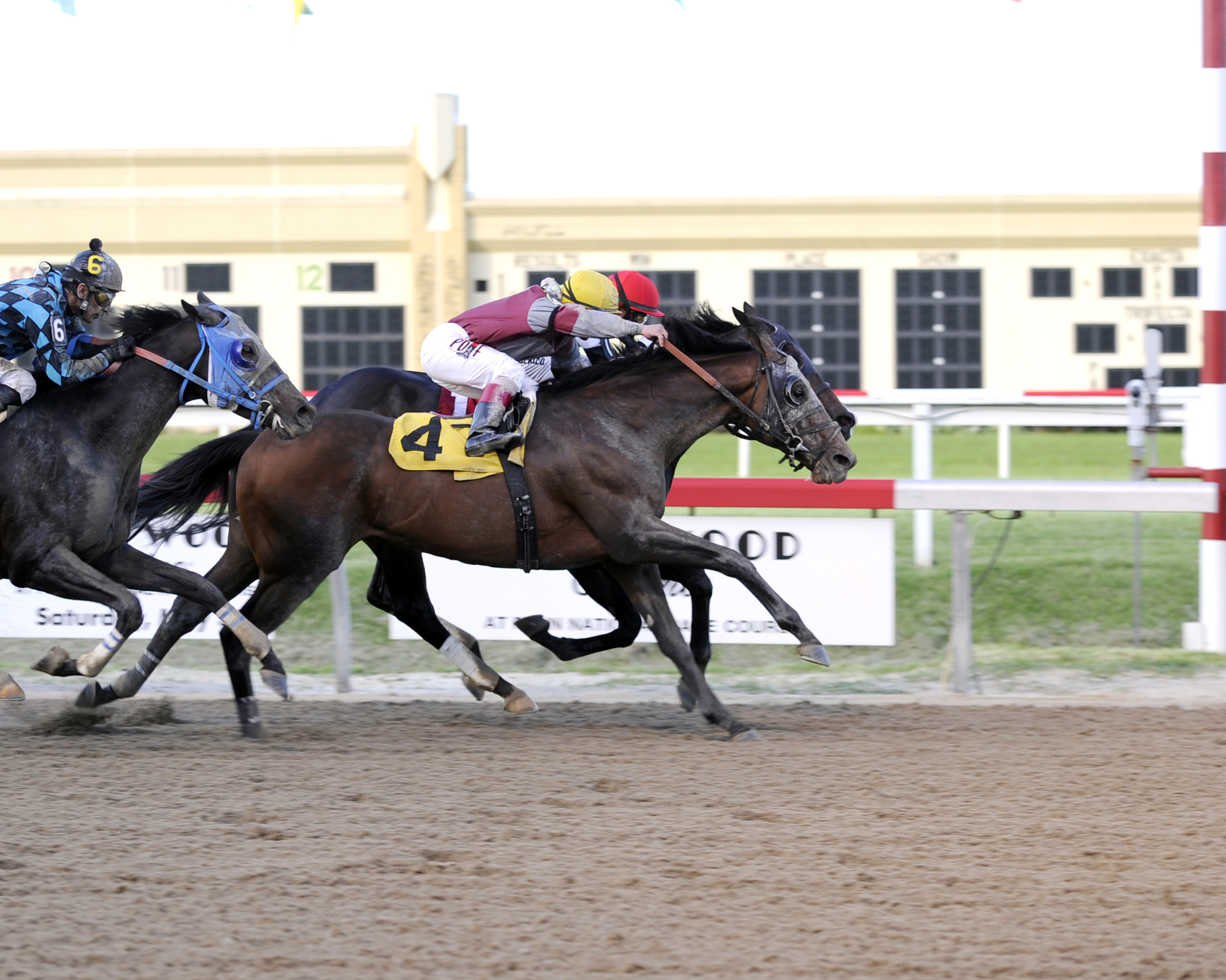 Last Gunfighter wins the Mountainview Handicap