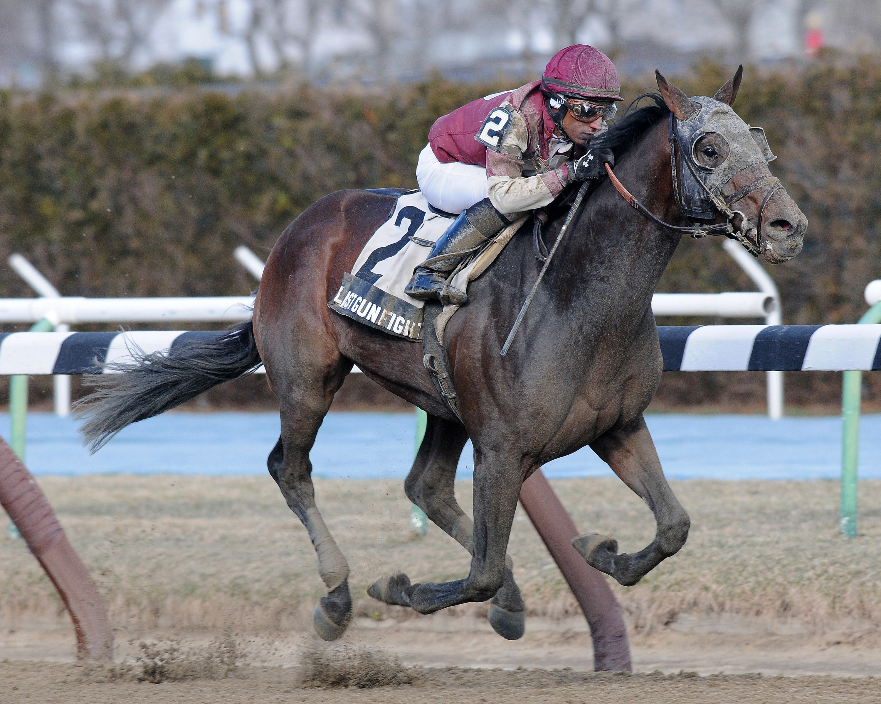 Last Gunfighter