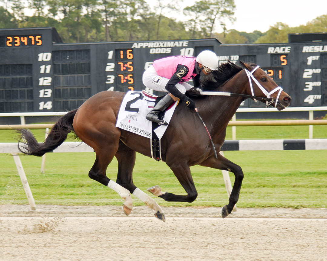 Last Judgment wins the 2021 Challenger Stakes at Tampa Bay Downs