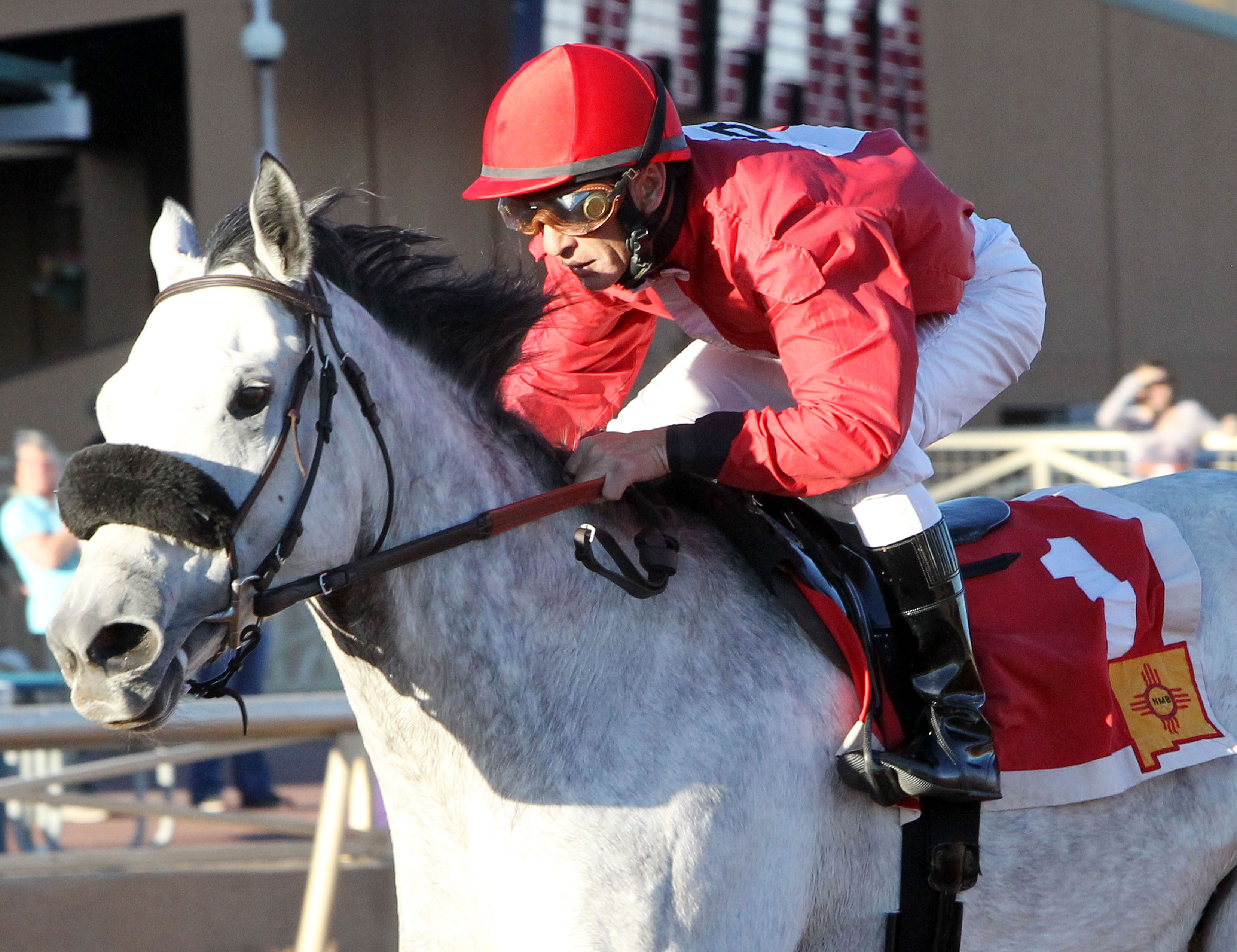 Lasting Bubbles wins the Zia Park Distaff