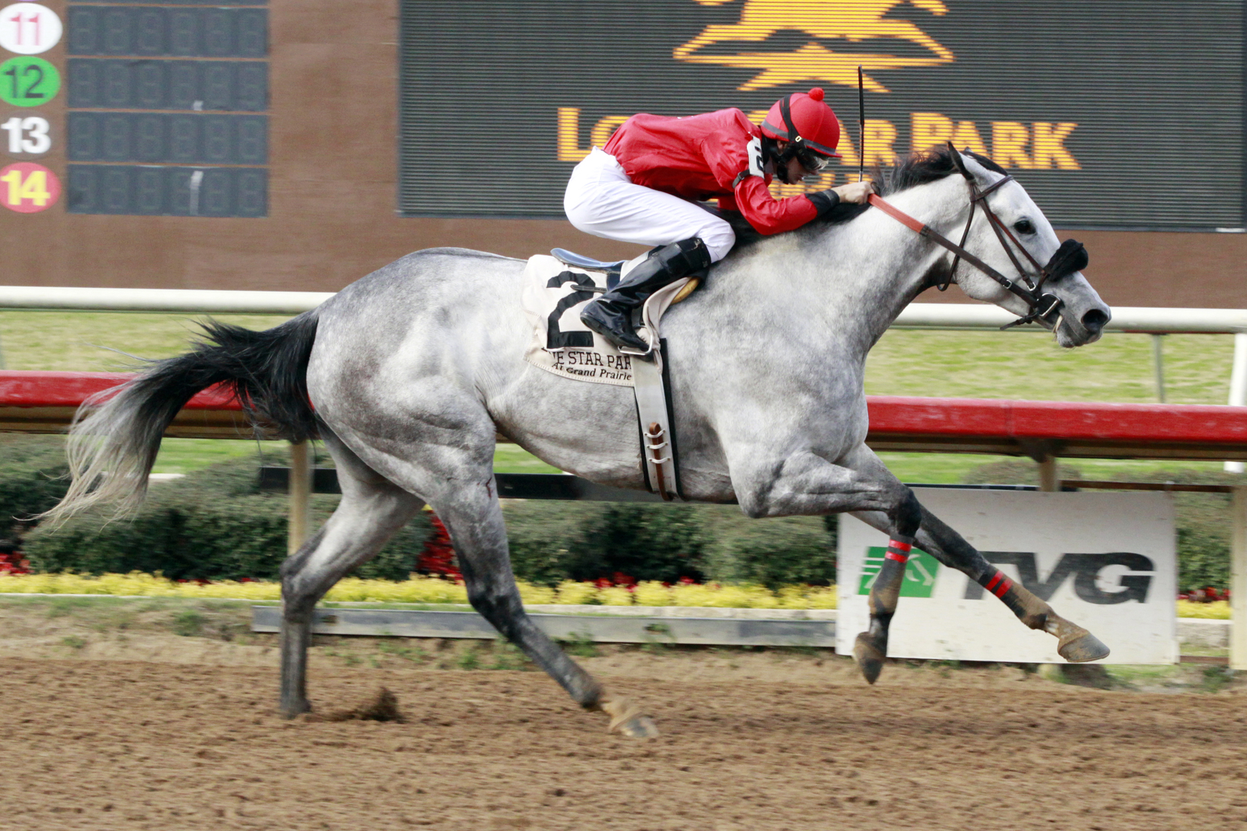 Lasting Bubbles, JEH Stallion Station Stakes