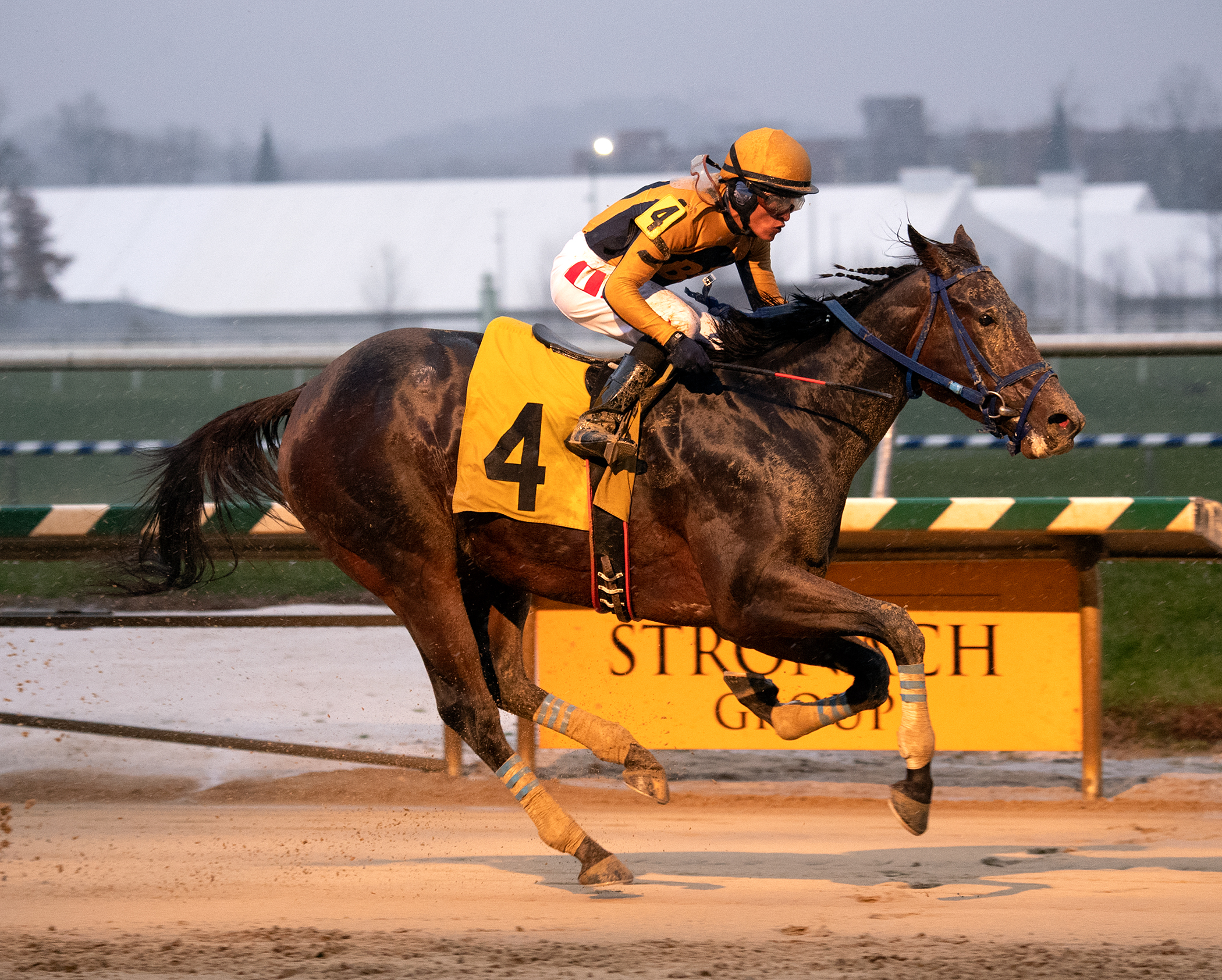 Late Night Pow Wow wins 2018 Willa On the Move