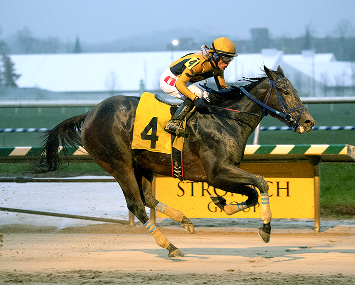 Late Night Pow Wow wins the 2018 Willa On the Move Stakes