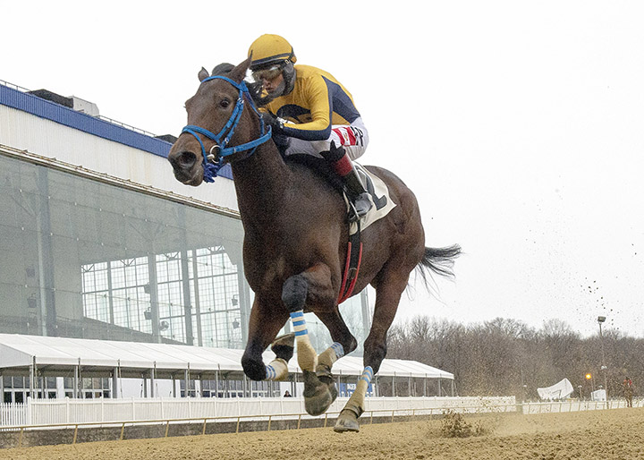 Late Night Pow Wow wins the 2019 What a Summer Stakes