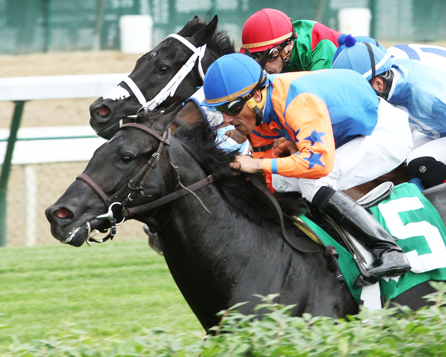 Latent Revenge wins the 2016 Mighty Beau Stakes