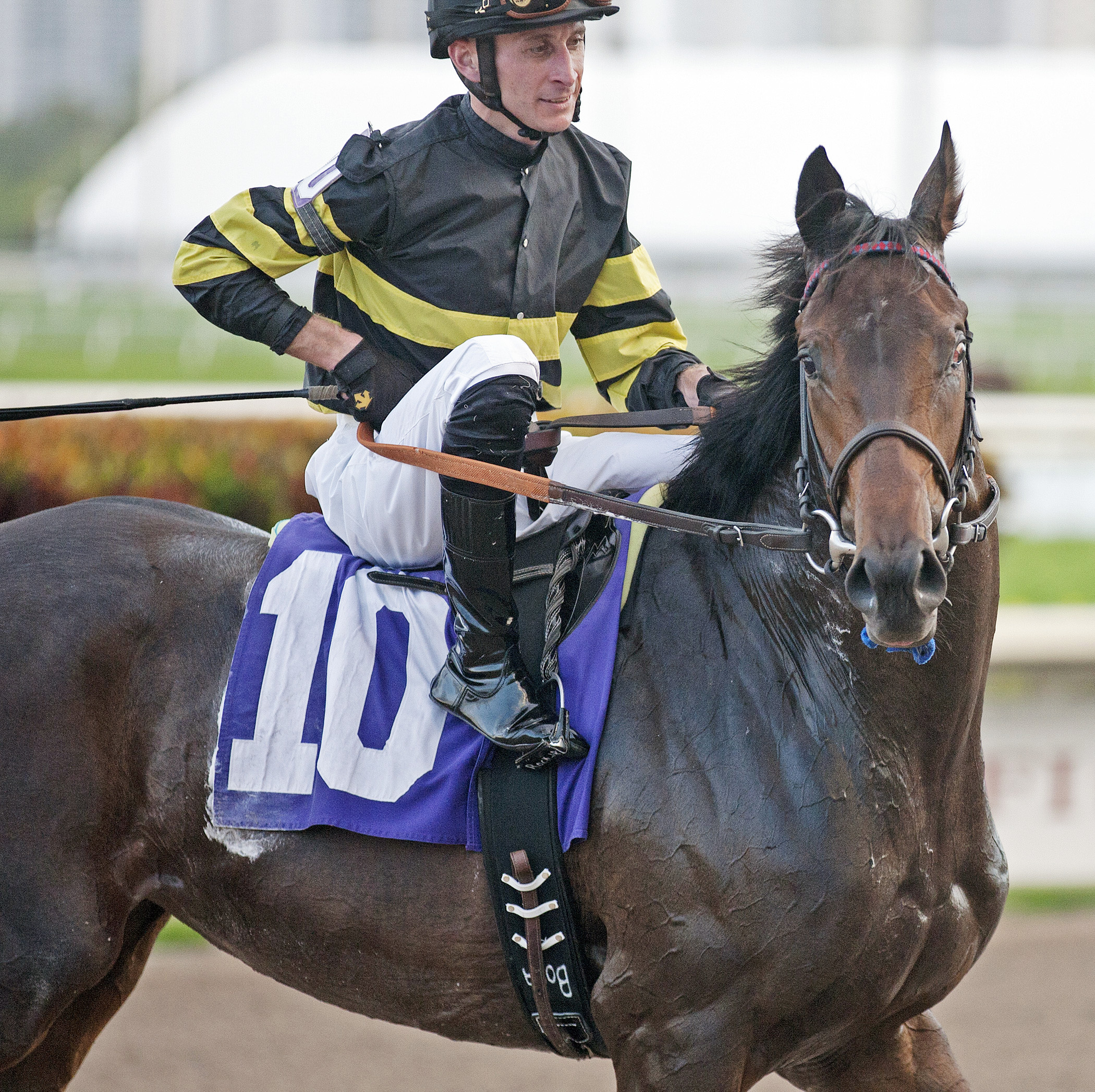 Latique at a maiden win in January