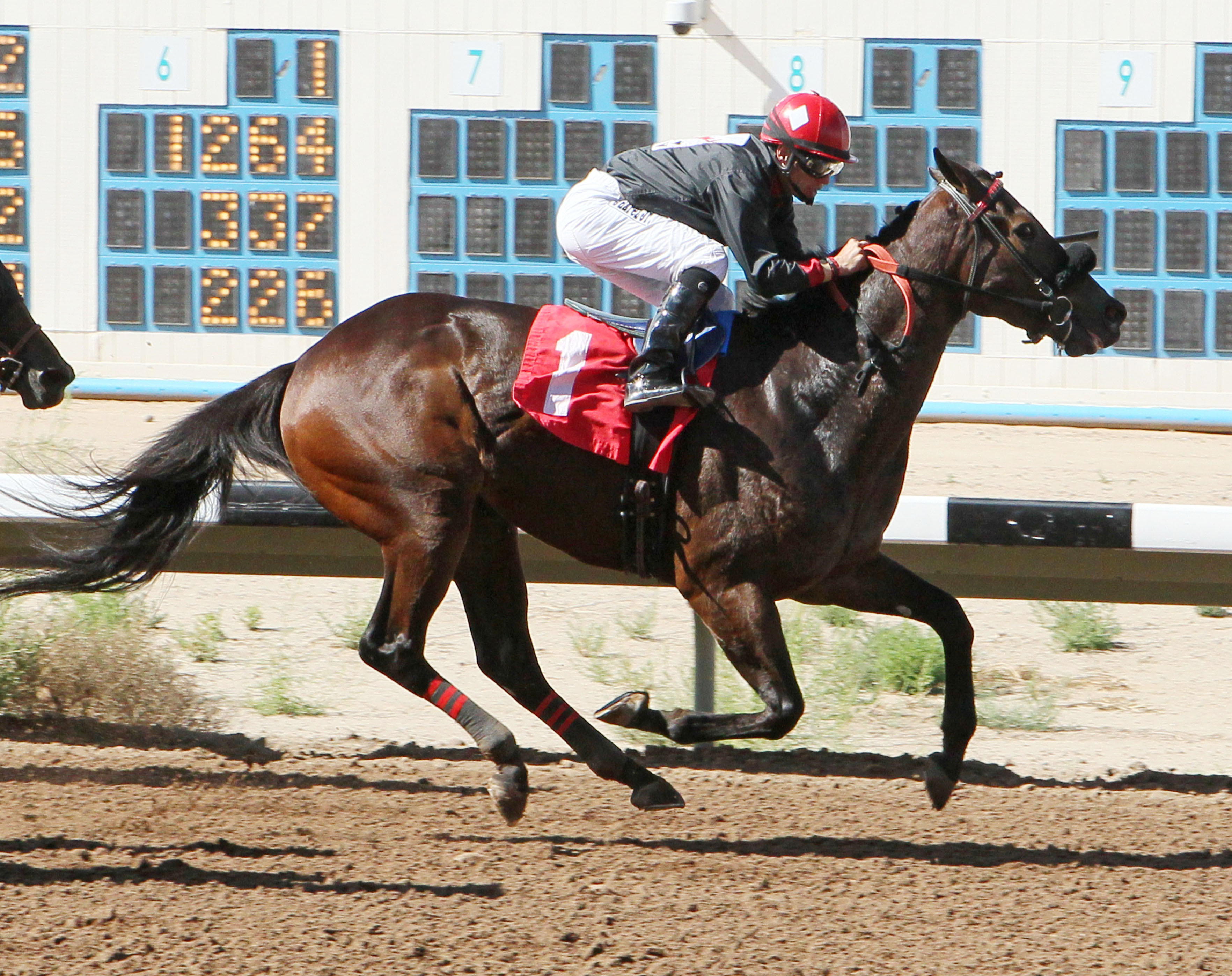 Laugh It Up wins the Dr. O.G. Fischer Memorial