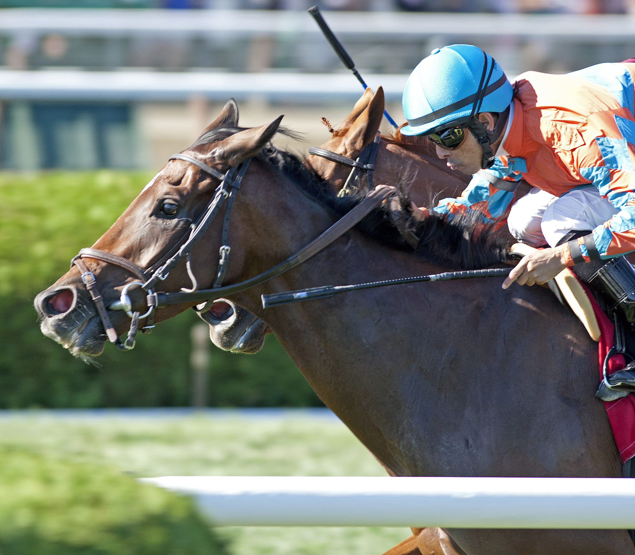 Laughing, Ballston Spa Stakes