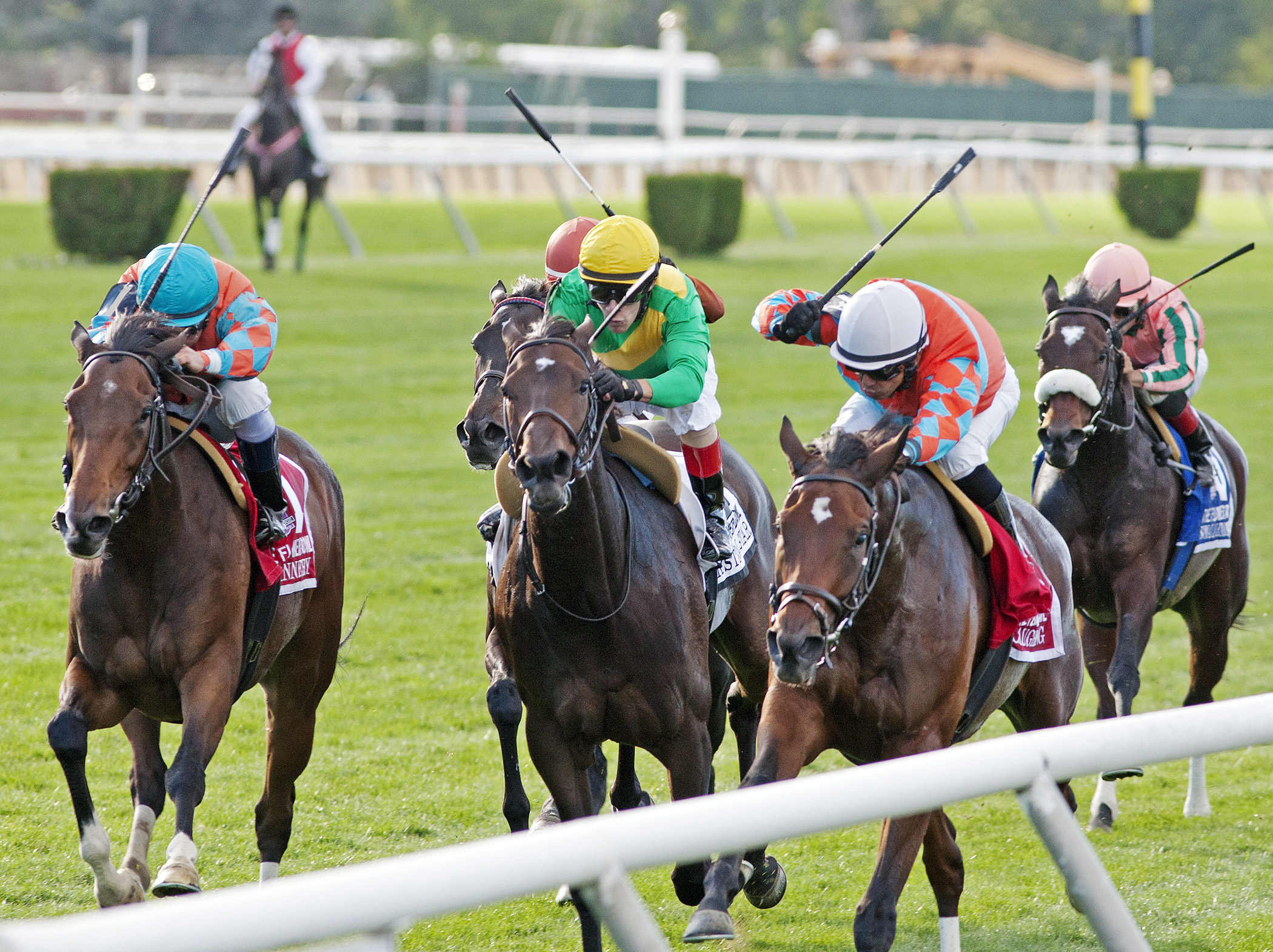 Tannery finishes second in the 2013 Flower Bowl