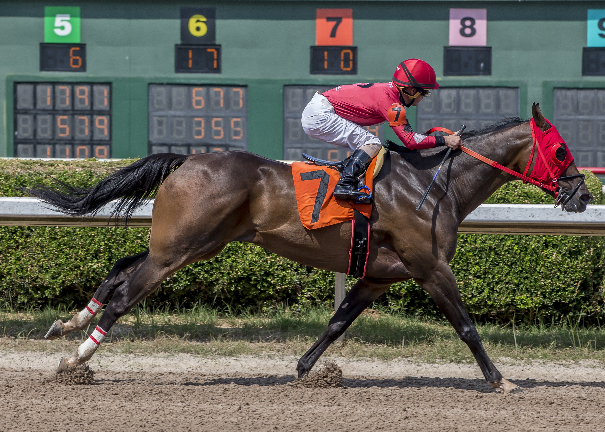 Laughingsaintssong wins the 2019 Louisiana Cup Sprint