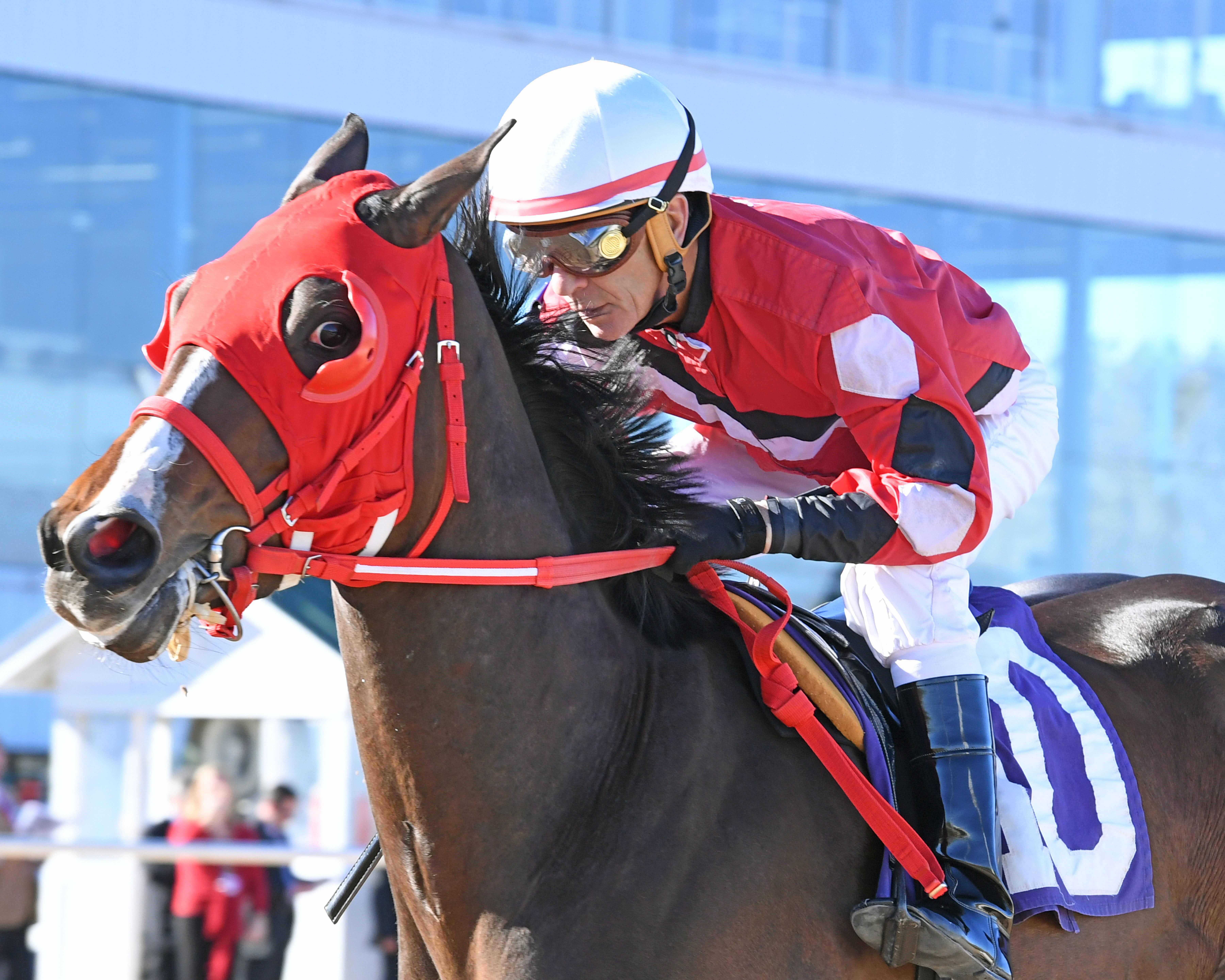 Laughingsaintssong wins the Space City Stakes
