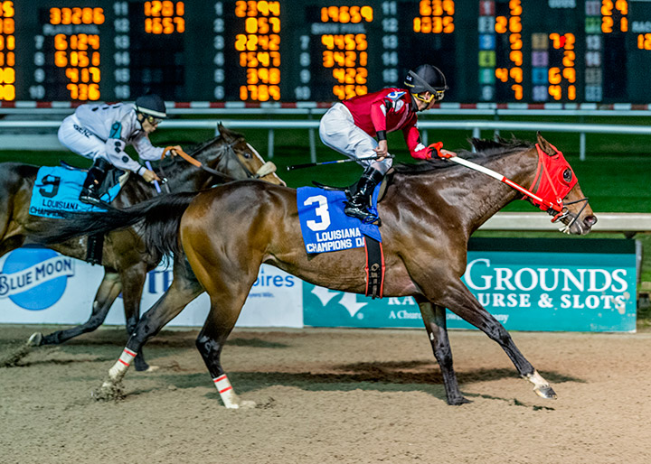 Laughingsaintssong wins the 2019 Louisiana Champions Day Sprint at Louisiana Downs