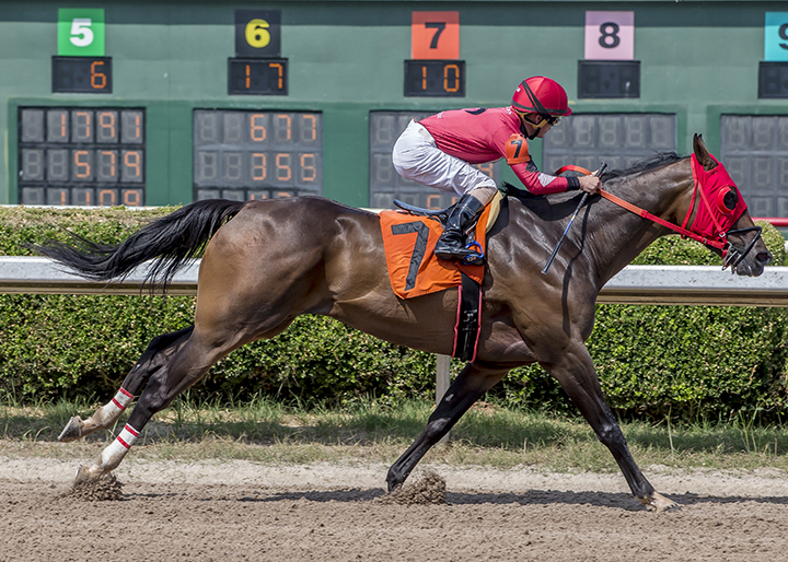 Laughingsaintssong wins the 2019 Louisiana Cup Sprint at Louisiana Downs