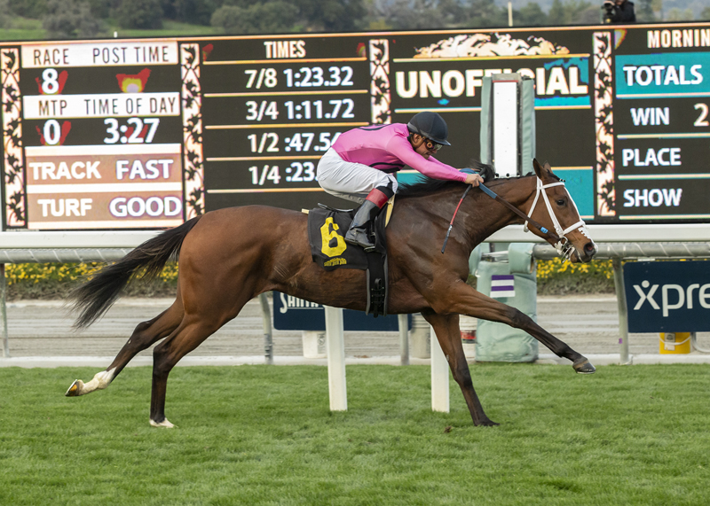 Laura-s Light wins the 2019 Blue Norther Stakes
