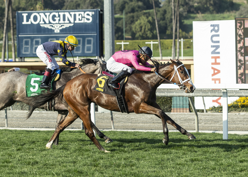 Laura-s Light wins the 2020 Sweet Life Stakes
