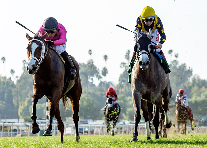 Lighthouse (right) finishes second in the Sweet Life Stakes at Santa Anita Park