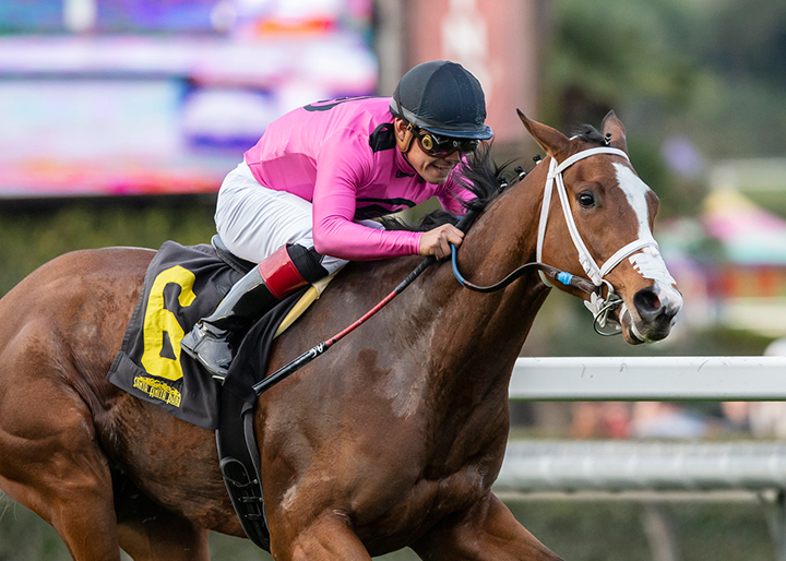 Laura's Light wins the 2019 Blue Norther Stakes at Santa Anita Park