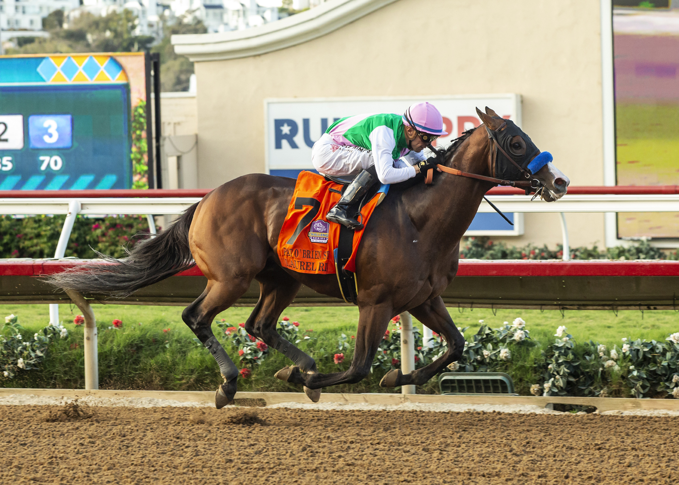 Laurel River - Pat O'Brien S. 2022