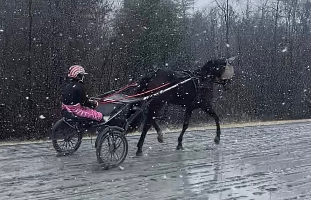 Lochinvar Art_Lauren Tritton