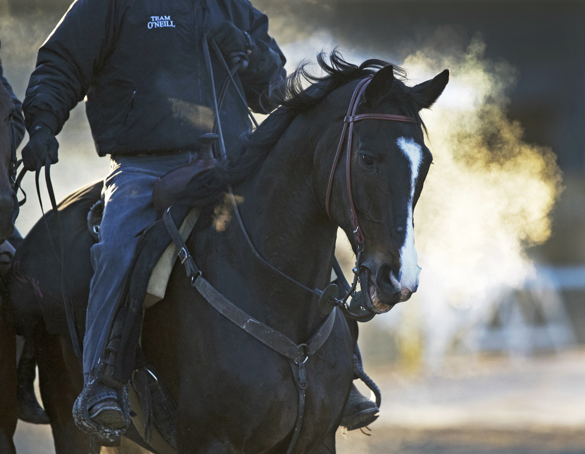 Lava Man March 2018