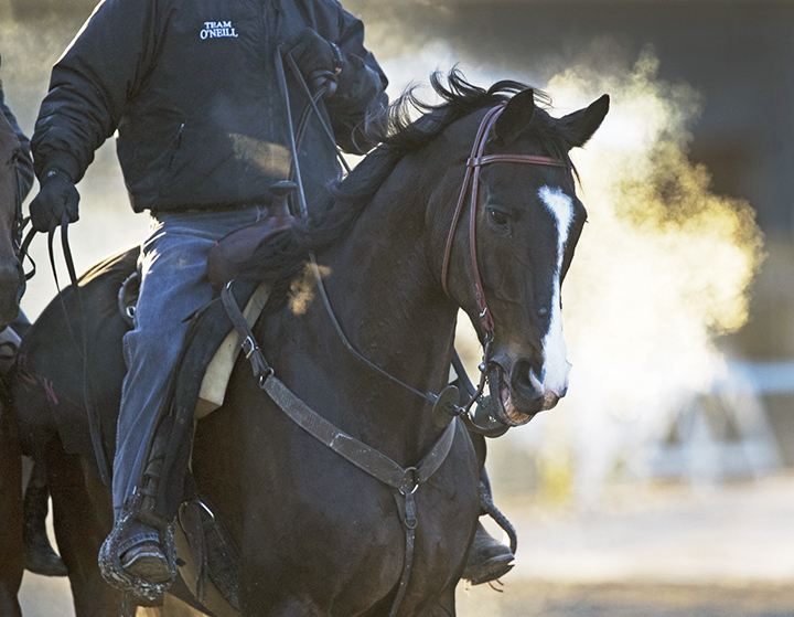 Lava Man March 2018