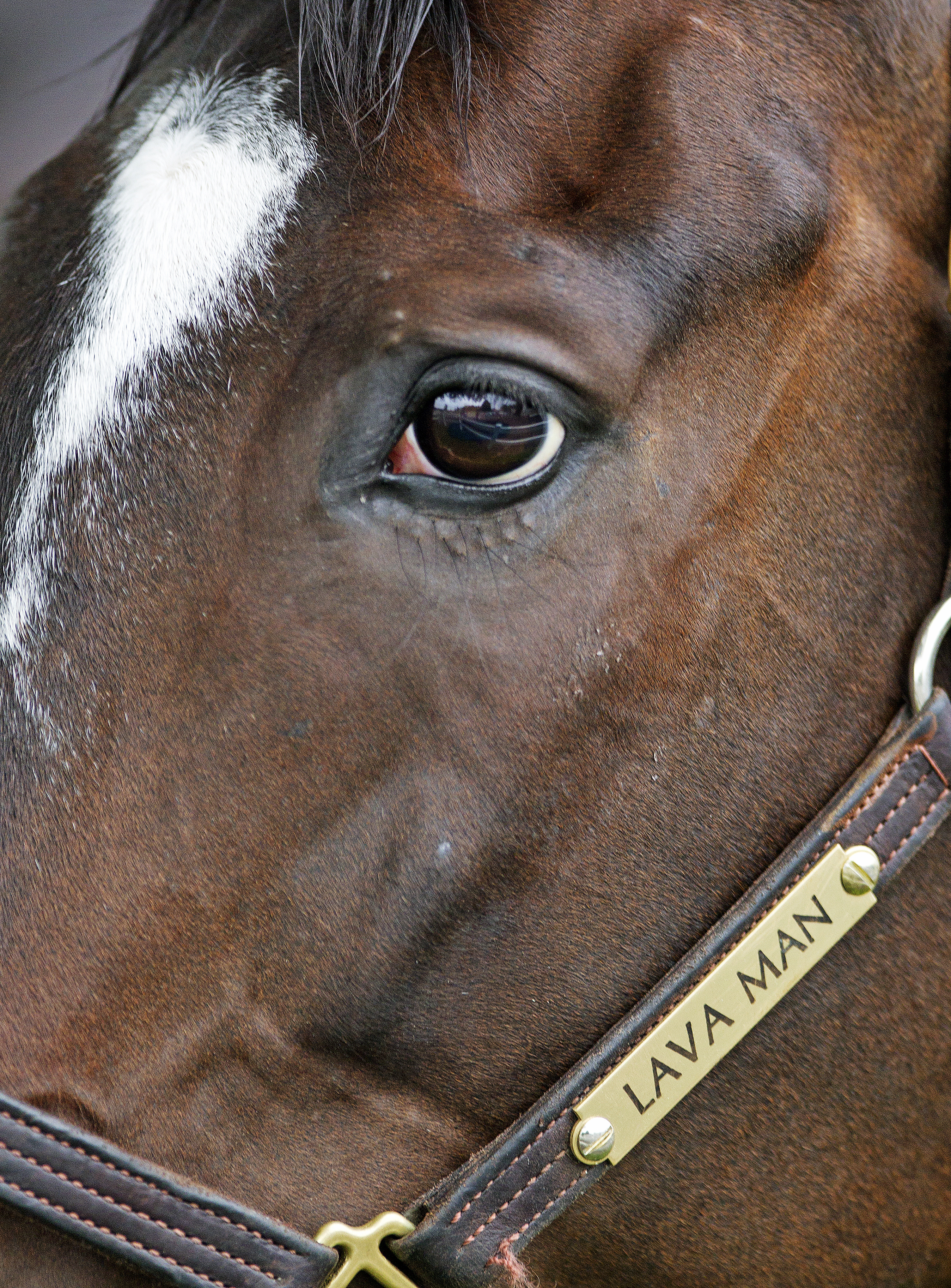 Lava Man portrait