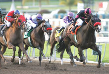 Lava Man