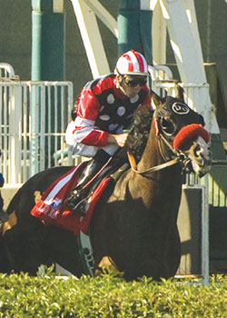 Lava Man