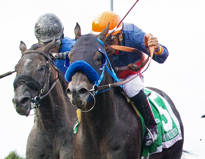Law Abidin Citizen wins the 2019 Longacres Mile at Emerald Downs