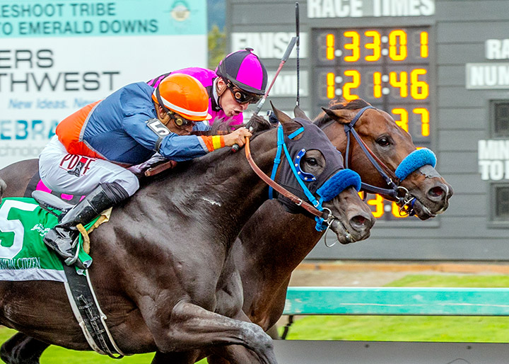 Anyportinastorm (inside) gets beaten by Law Abidin Citizen in the 2019 Longacres Mile at Emerald Downs