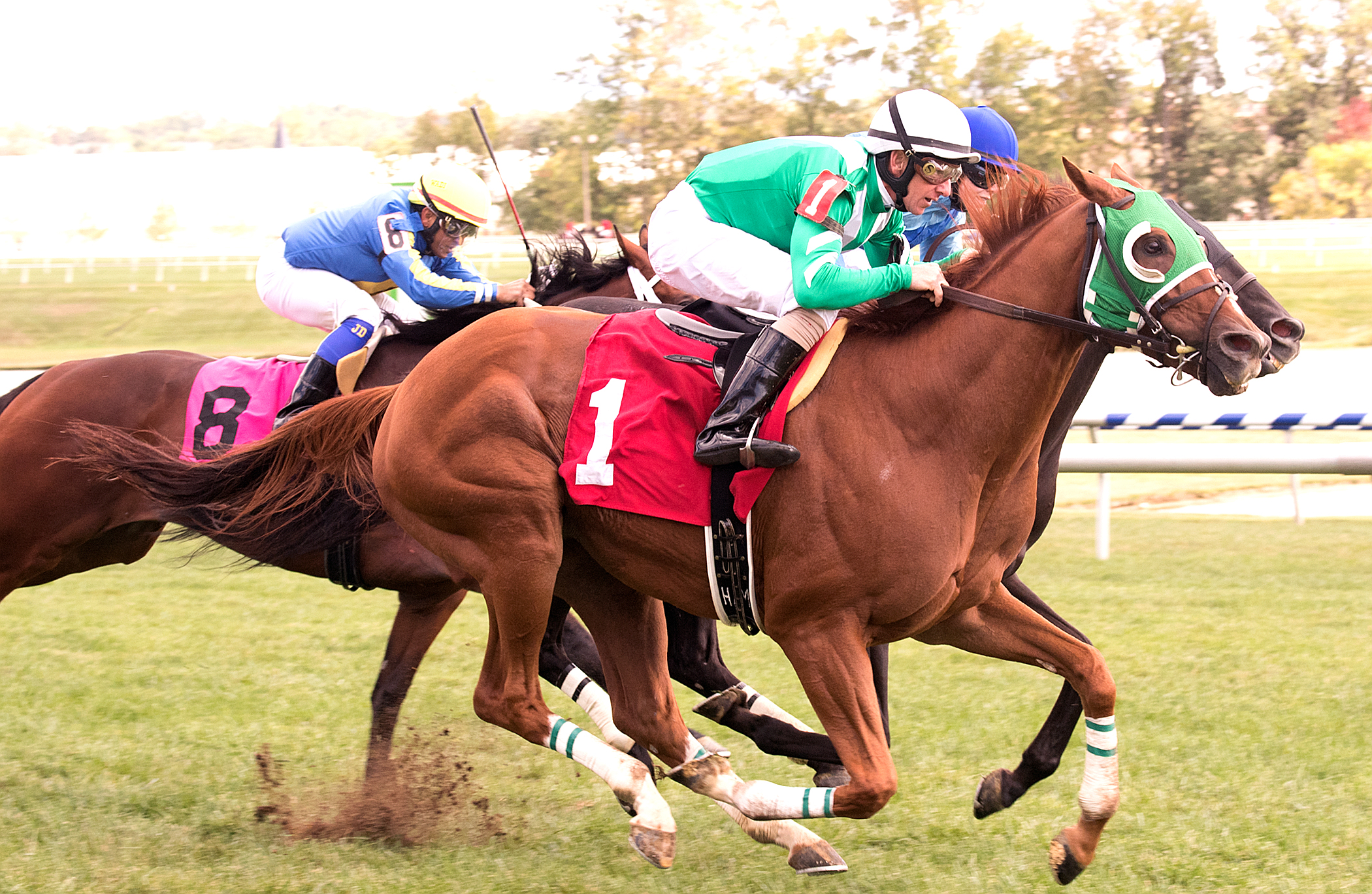 Lawyer Dave wins the 2017 Punch Line Stakes - JMC