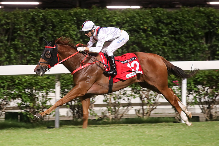 Le Terroir wins the 2019 Yip Fat Handicap at Happy Valley