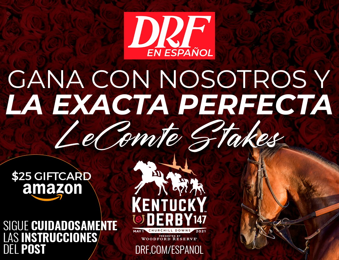 Concurso LeComte Stakes