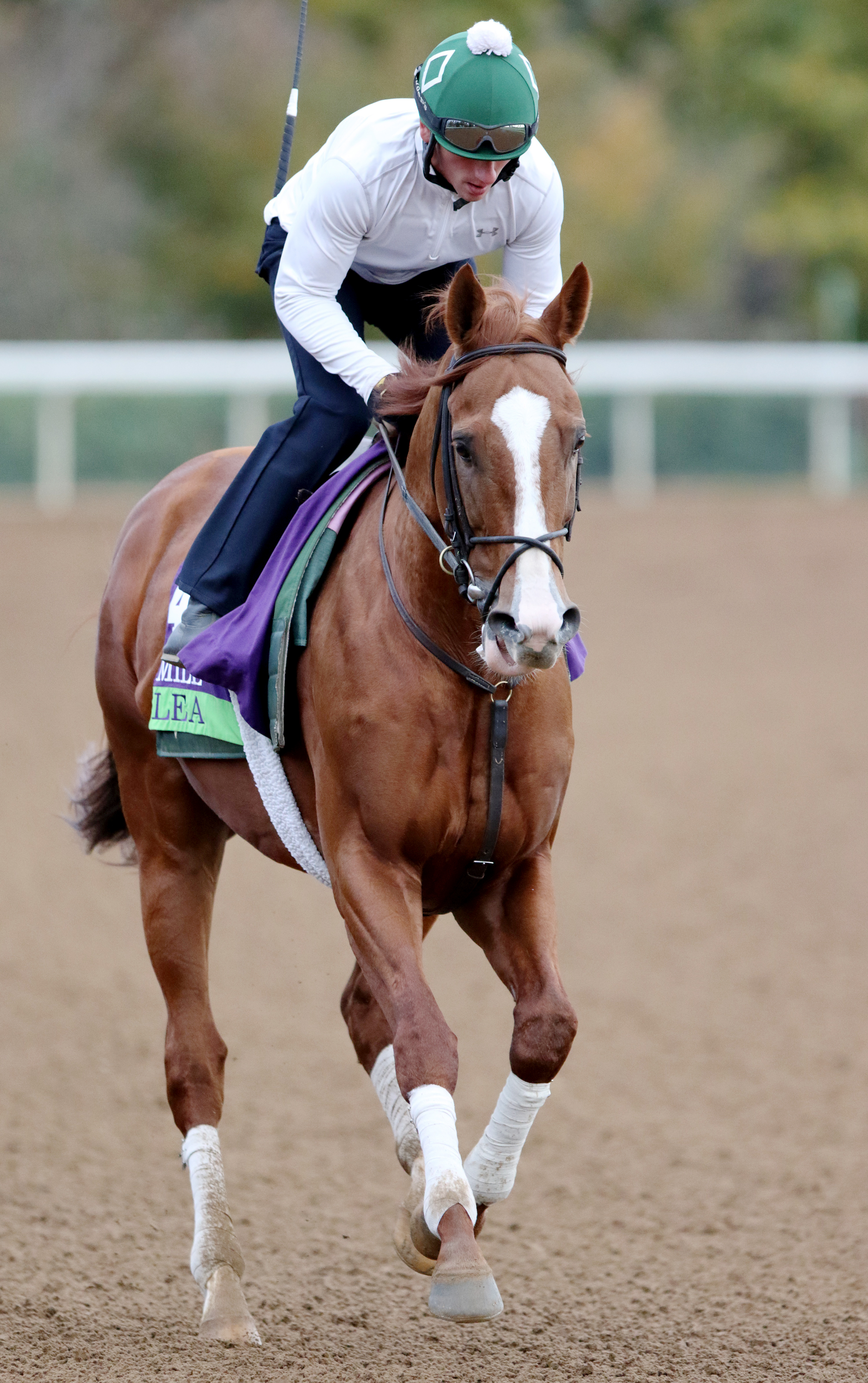 Lea works at Keeneland on Oct. 26