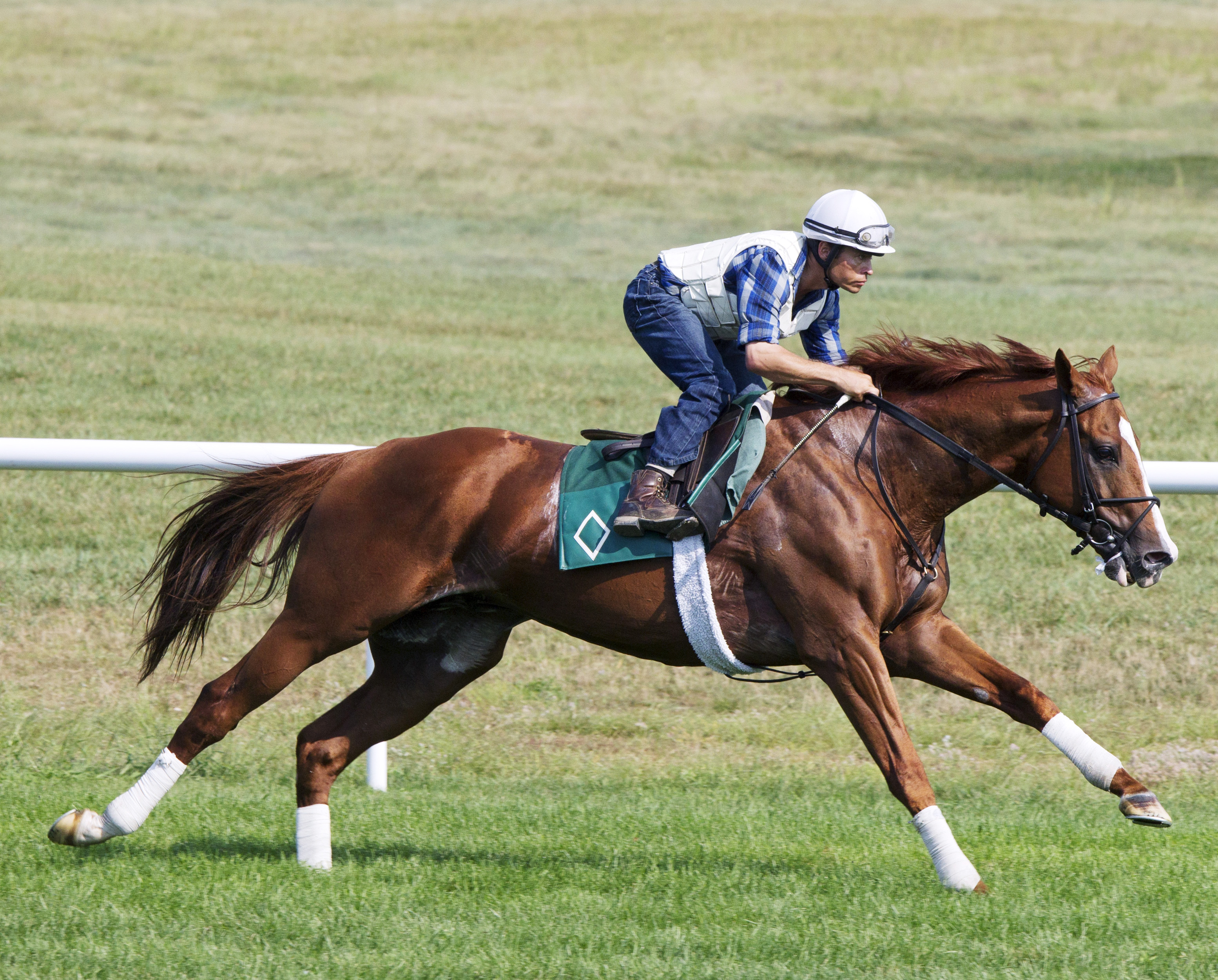 Lea works at Saratoga on Aug. 17