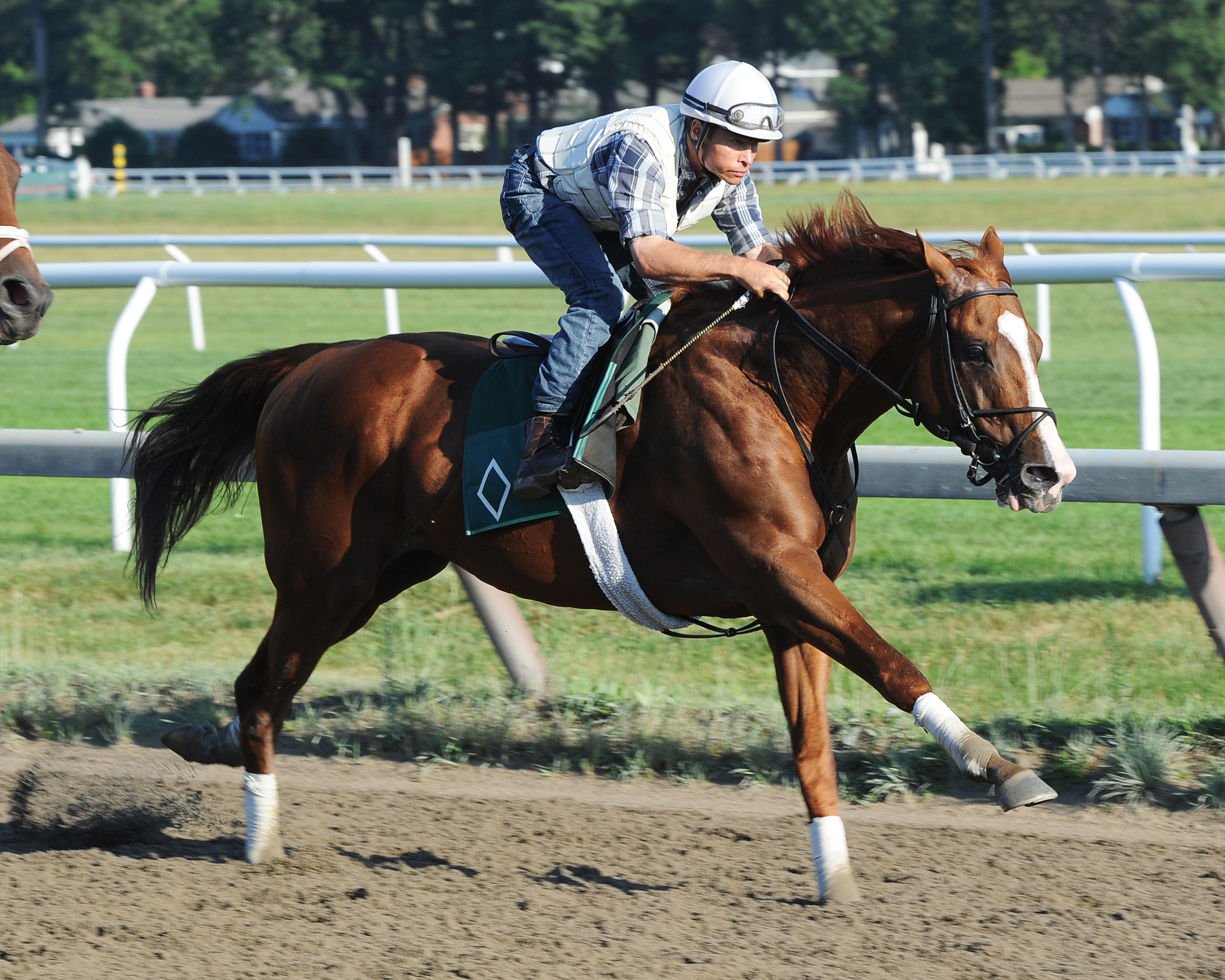 Lea trains at Saratoga on Aug. 3