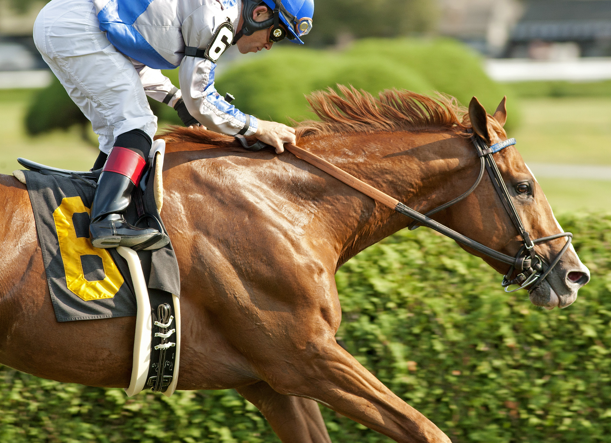 Byron King: Look past favorites in Commonwealth, Mrs. Revere