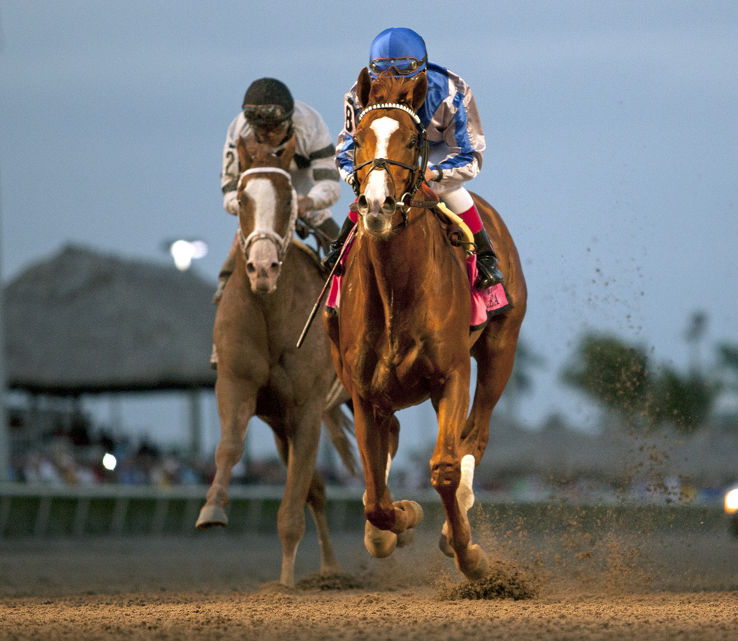 Lea wins the Donn Handicap