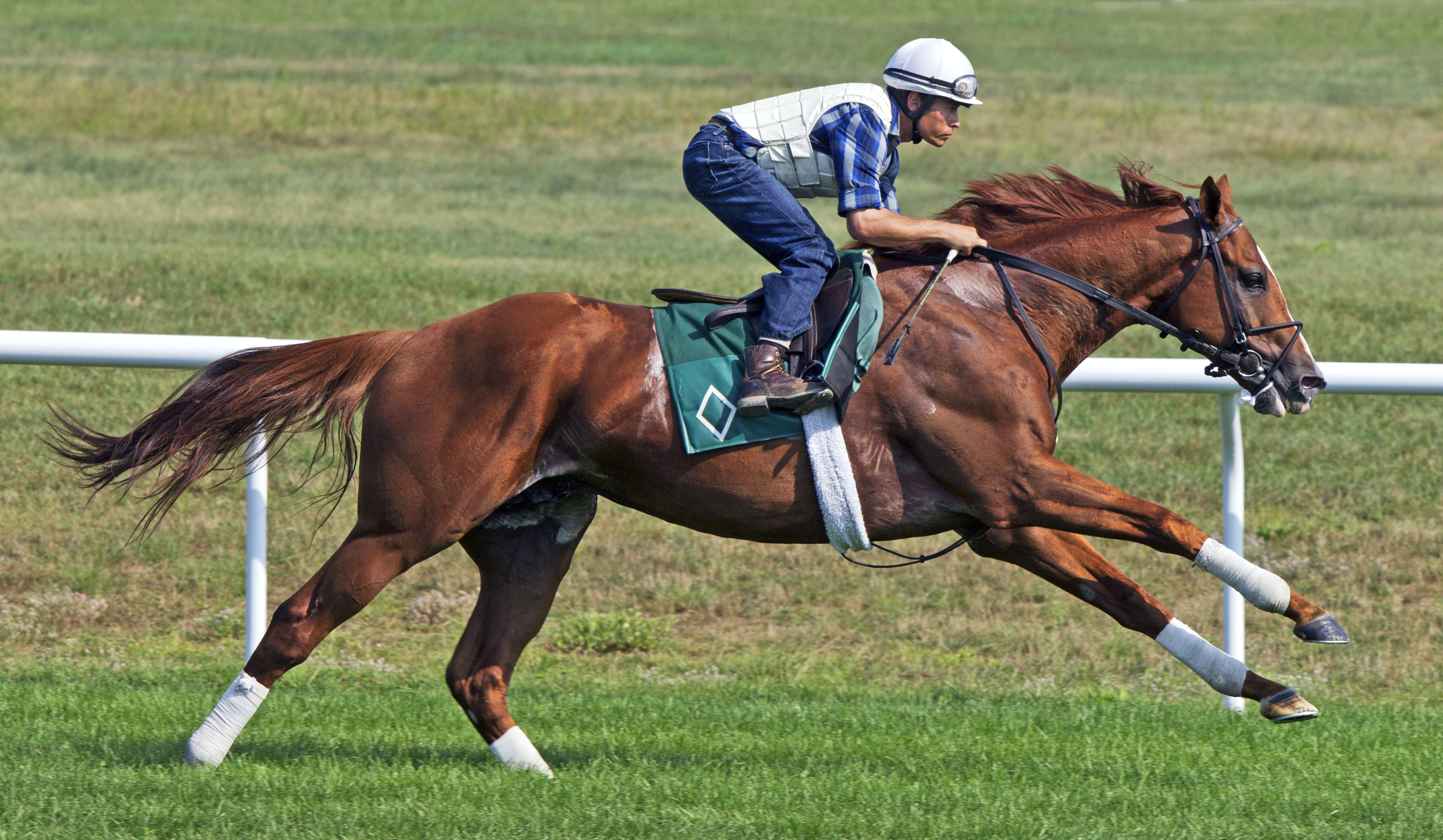 Lea works at Saratoga on Aug. 17