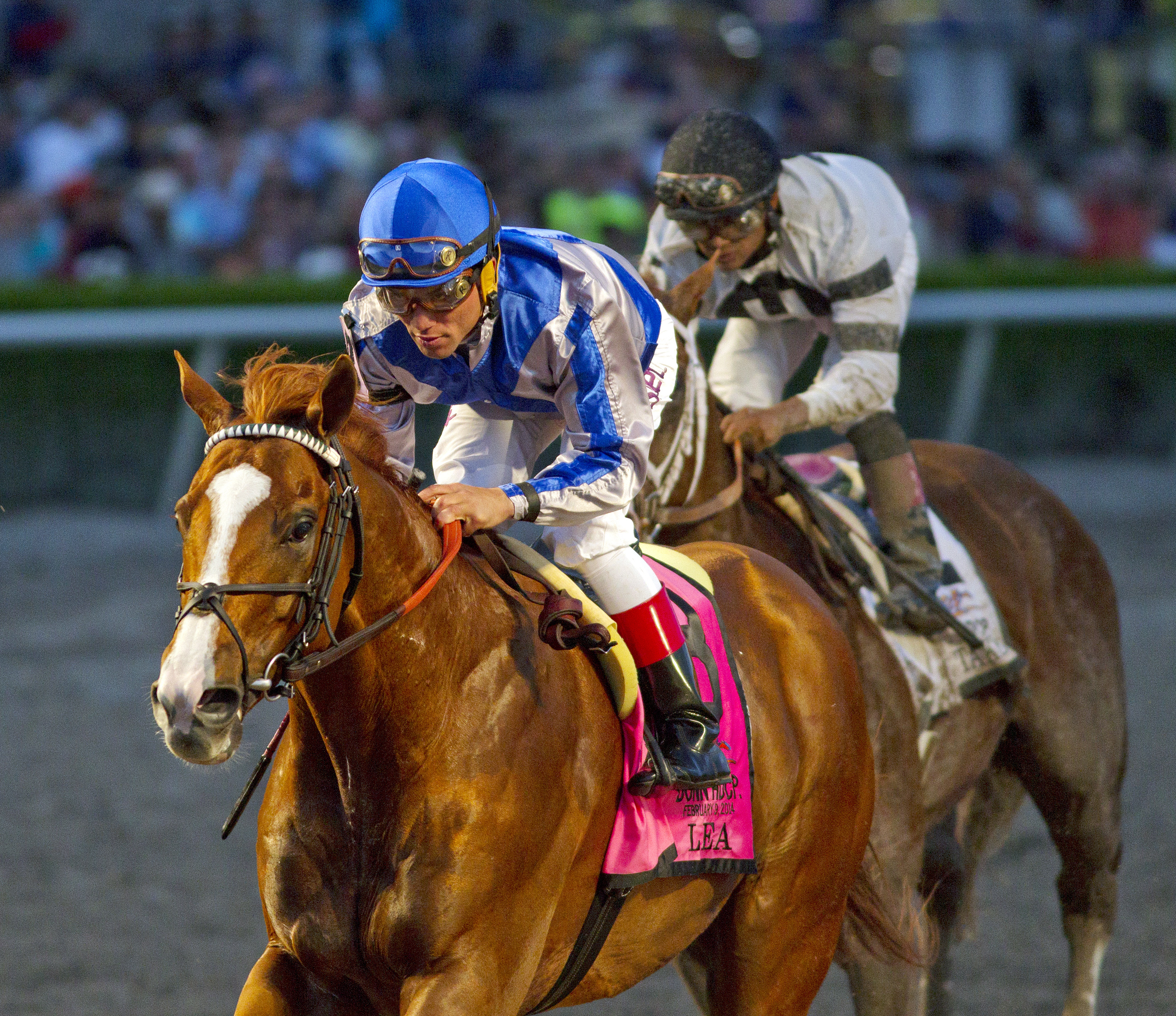 Lea wins the Donn Handicap
