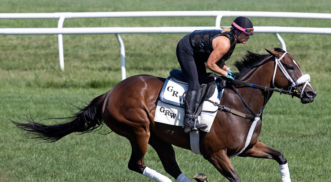Lead Guitar trains at Saratoga Race Course on Aug. 15