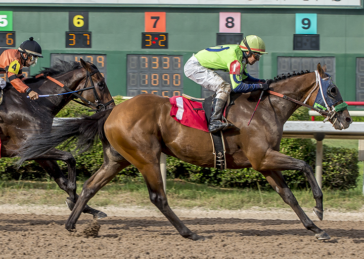 Leader of Men wins the 2019 Prelude at Louisiana Downs