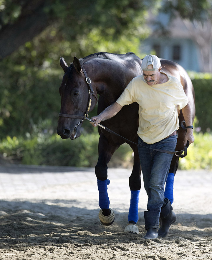 Leading Score at Santa Anita Park on Oct. 23