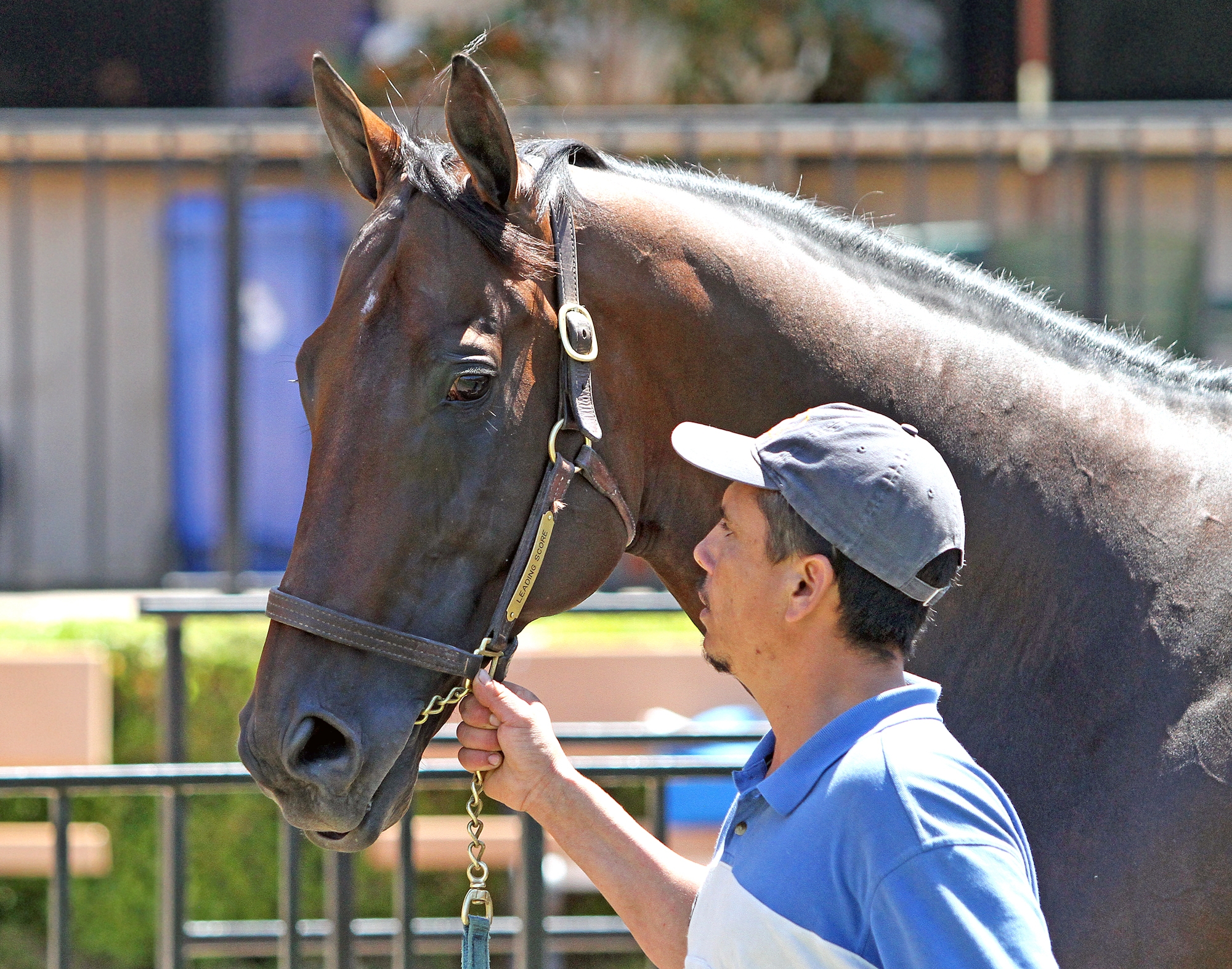 Leading Score at Del Mar on 7.20.19