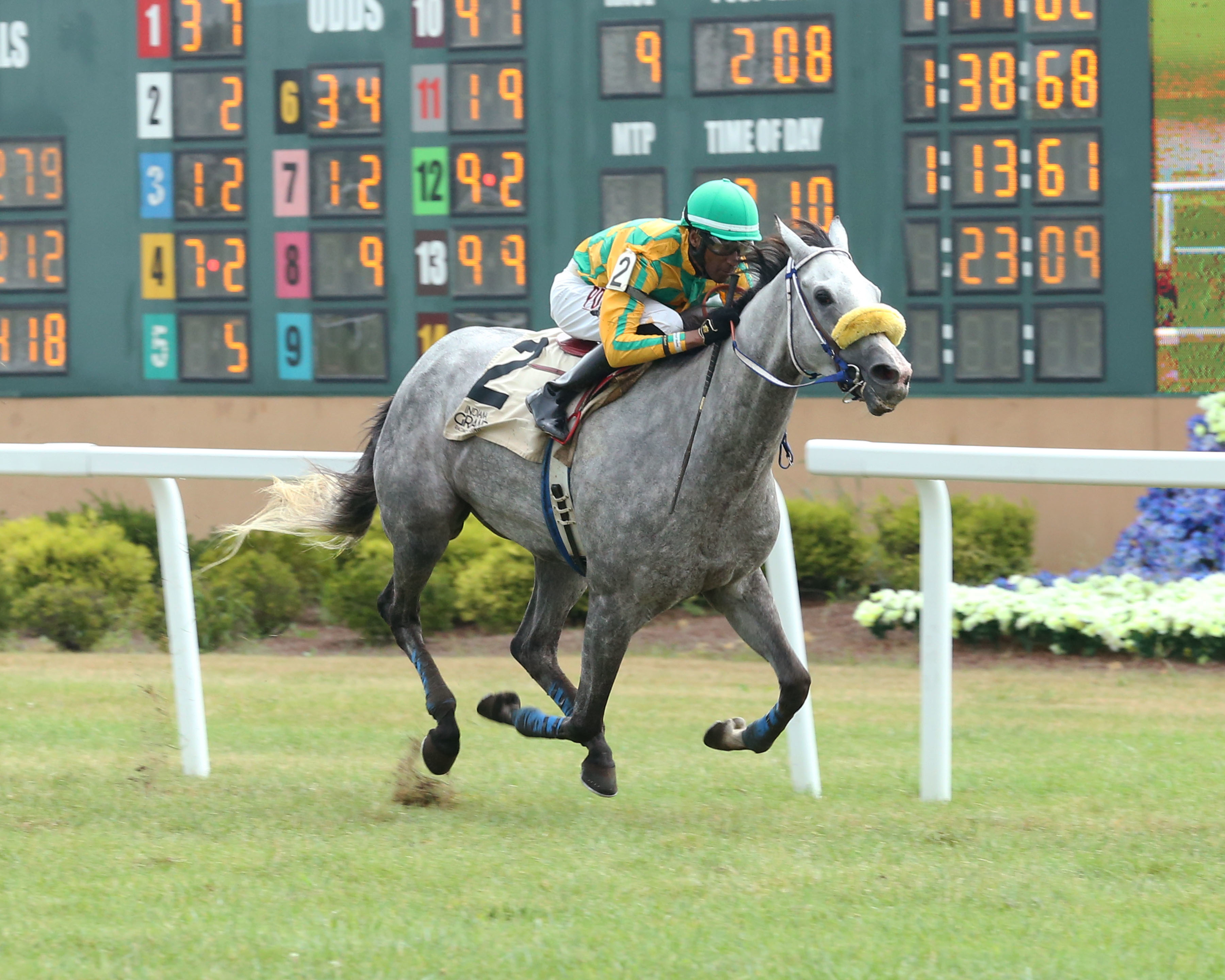 Leading the Charge wins the Bucchero Stakes in Indiana Aug 25 2021
