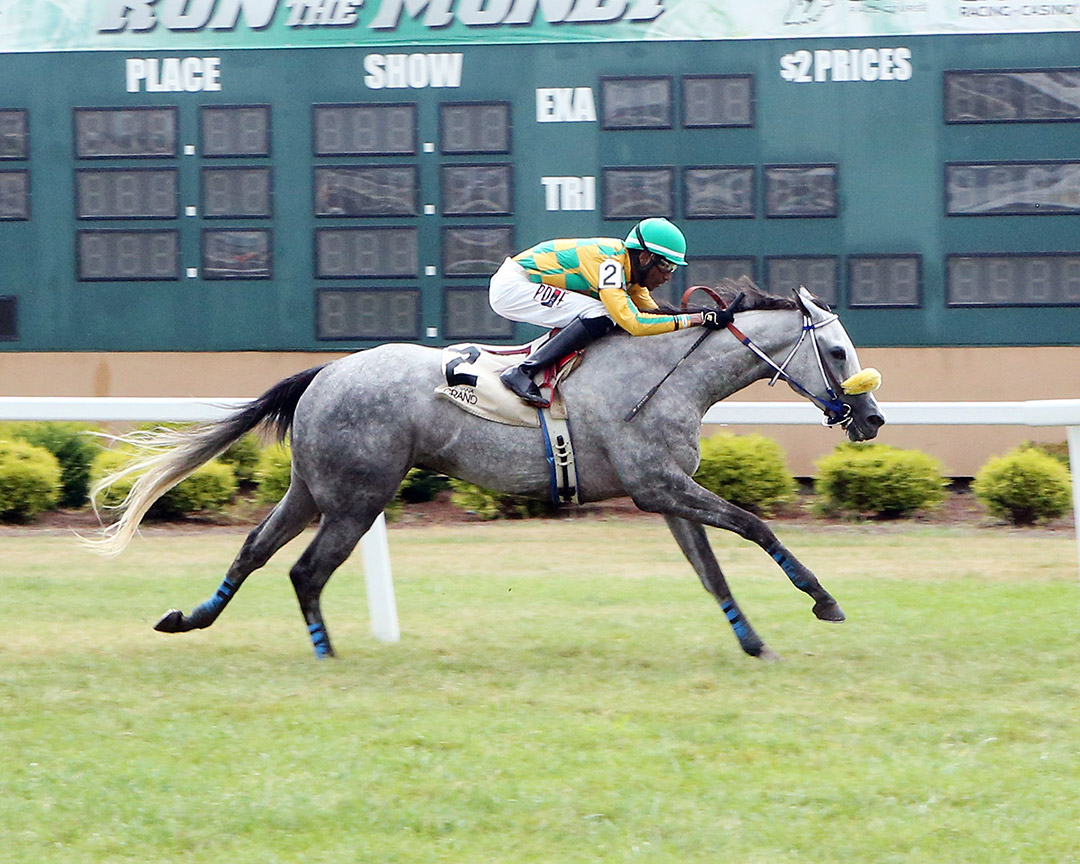 Leading the Charge wins the 2021 Bucchero Stakes at Indiana Grand