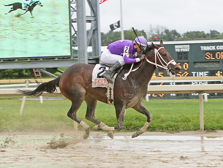 Leah-s Dream wins a Sept. 10 allowance race