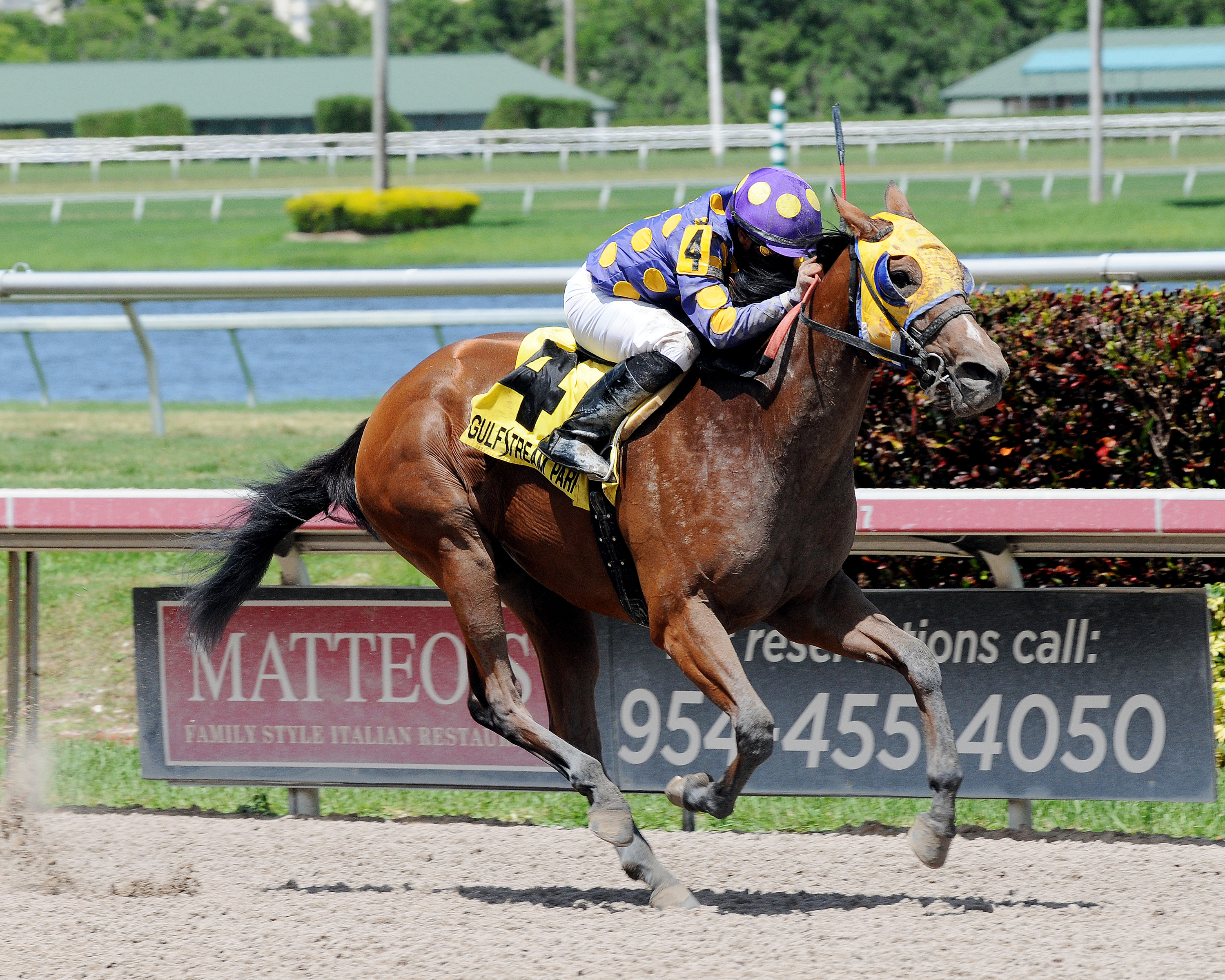 Leap Year Luck wins the Desert Vixen Stakes