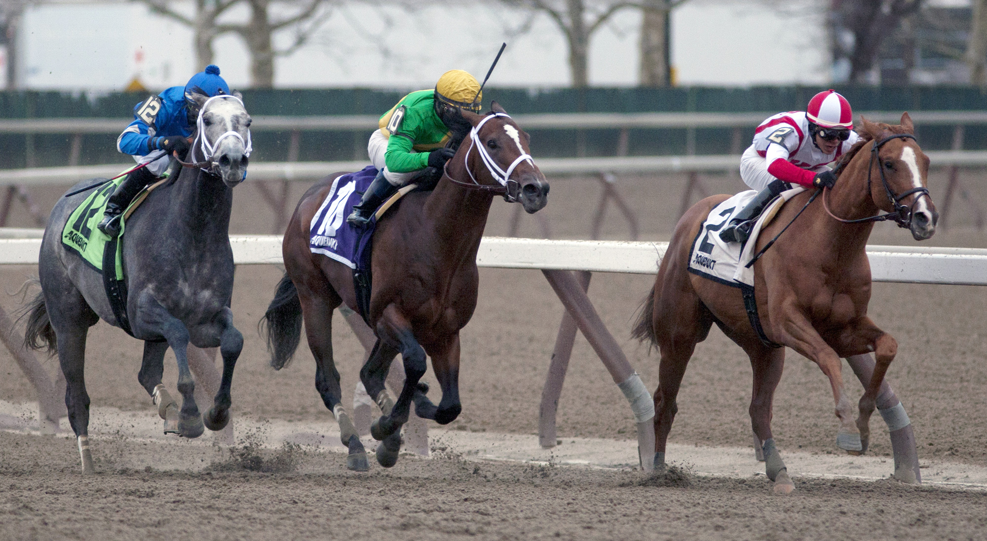 Classy Class finishes fourth in the Remsen
